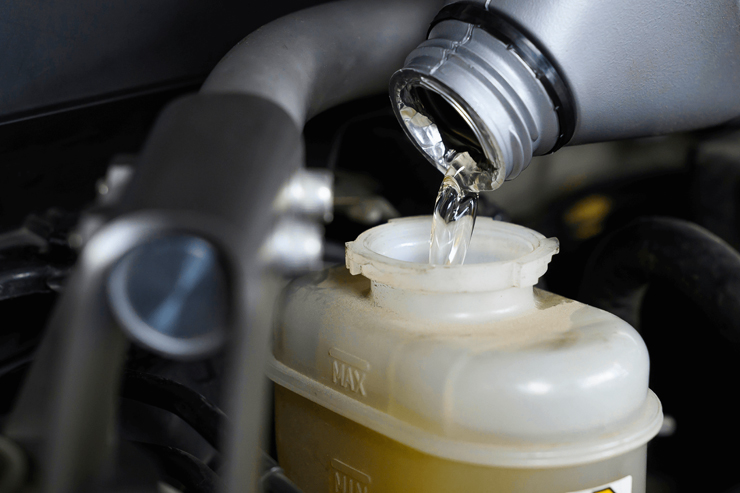 Oil