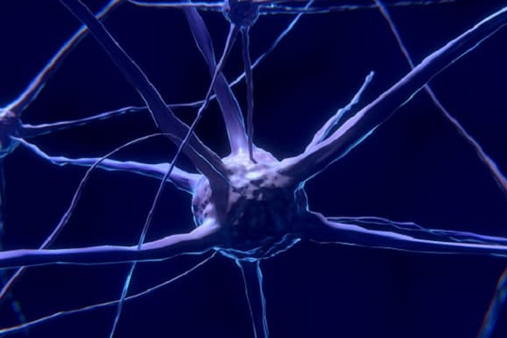 CNS